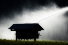 Austrian-Summer-Field