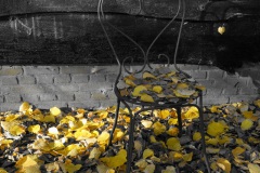 Autumn_Leaves