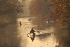 Rhijnauwen_herfst