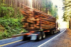 Timber-lorry