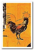 50R011